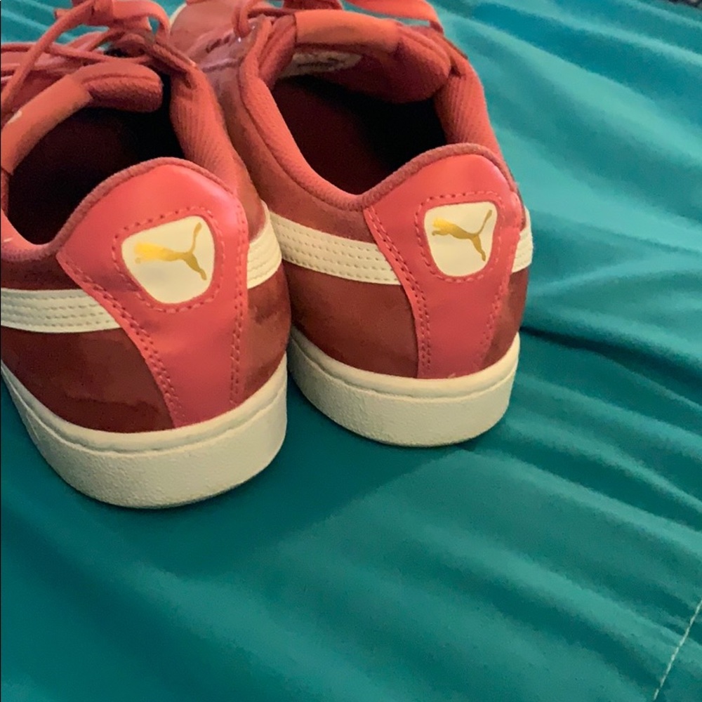 Pumas - Picture 3 of 4